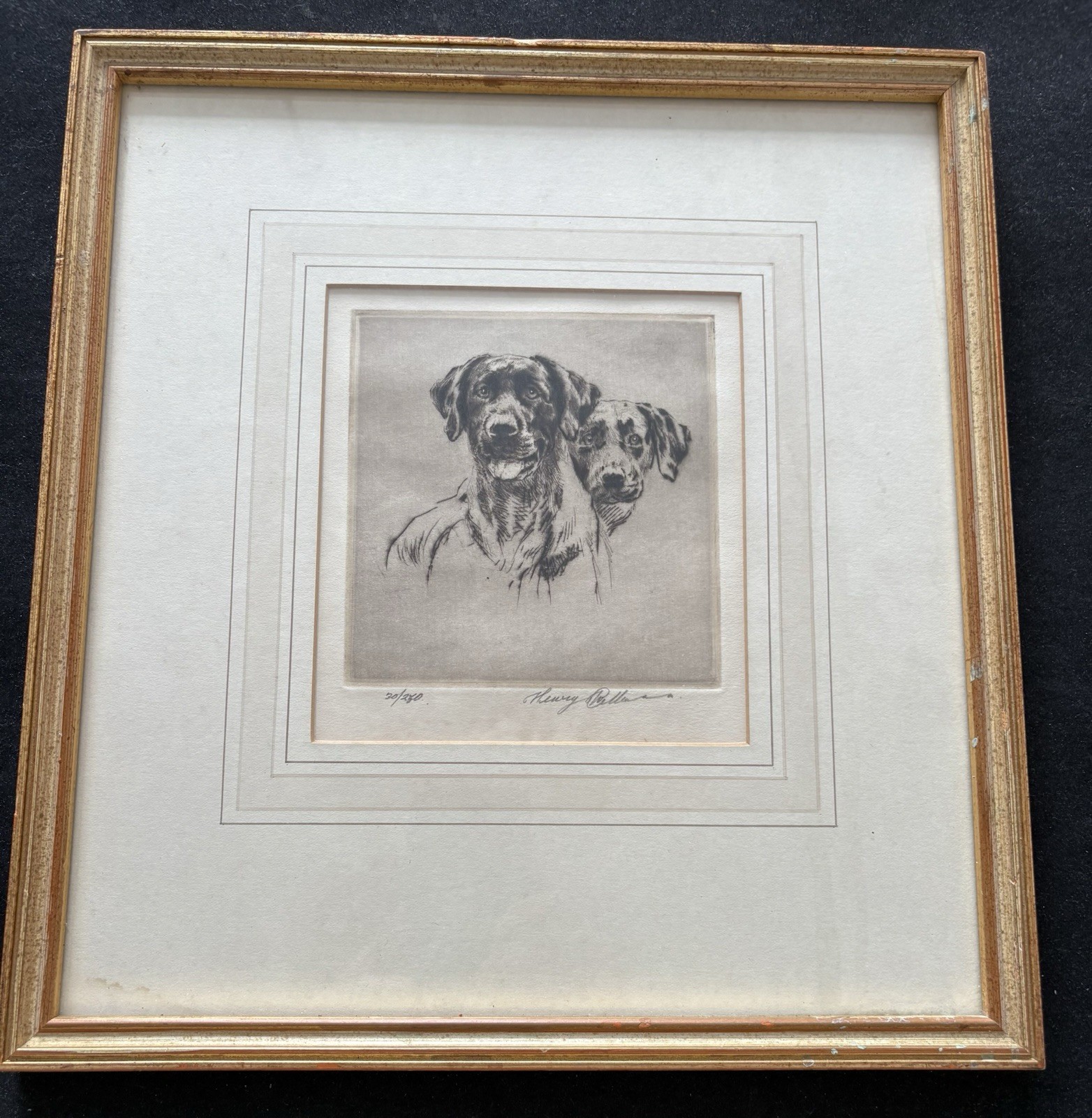 Unique Drawing Of Dogs