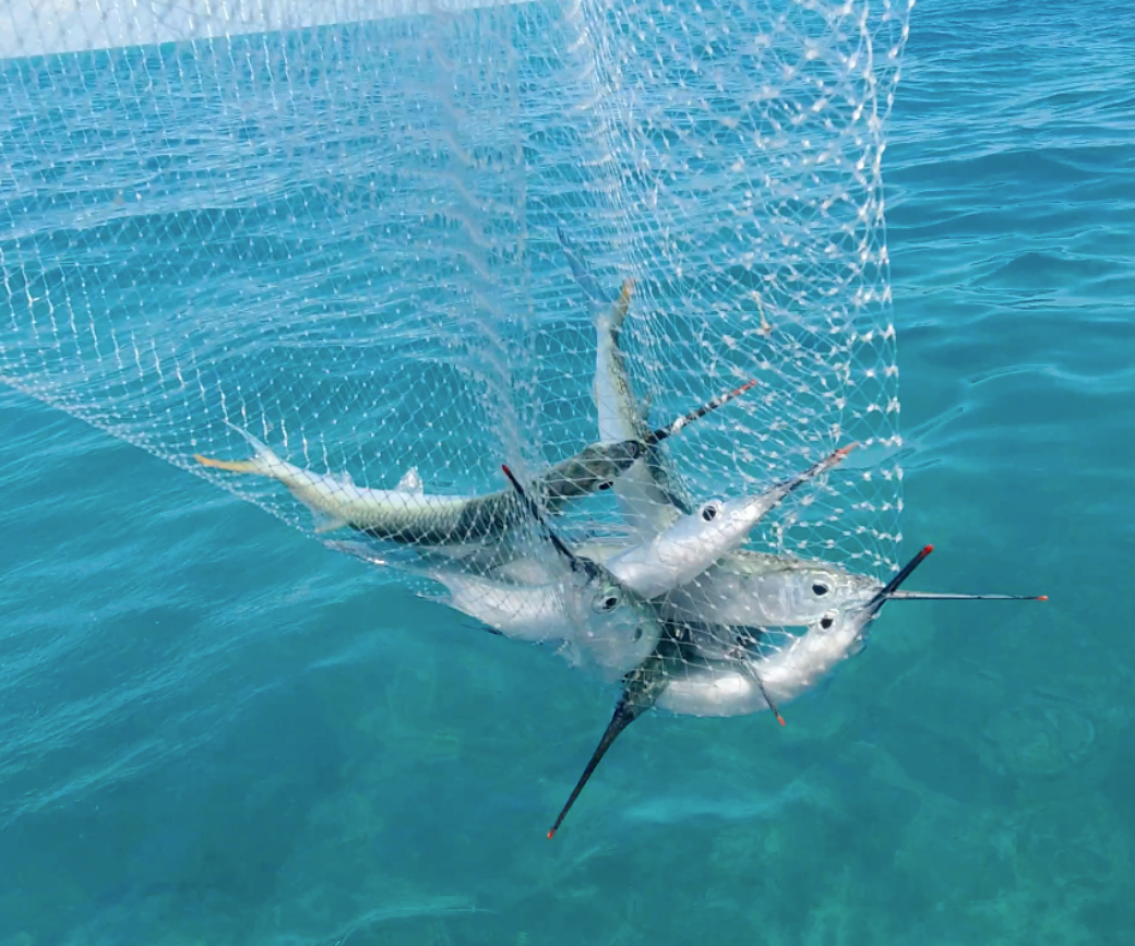 The BallyHoop - Stealth Collapsible Hoop Net - Generation II