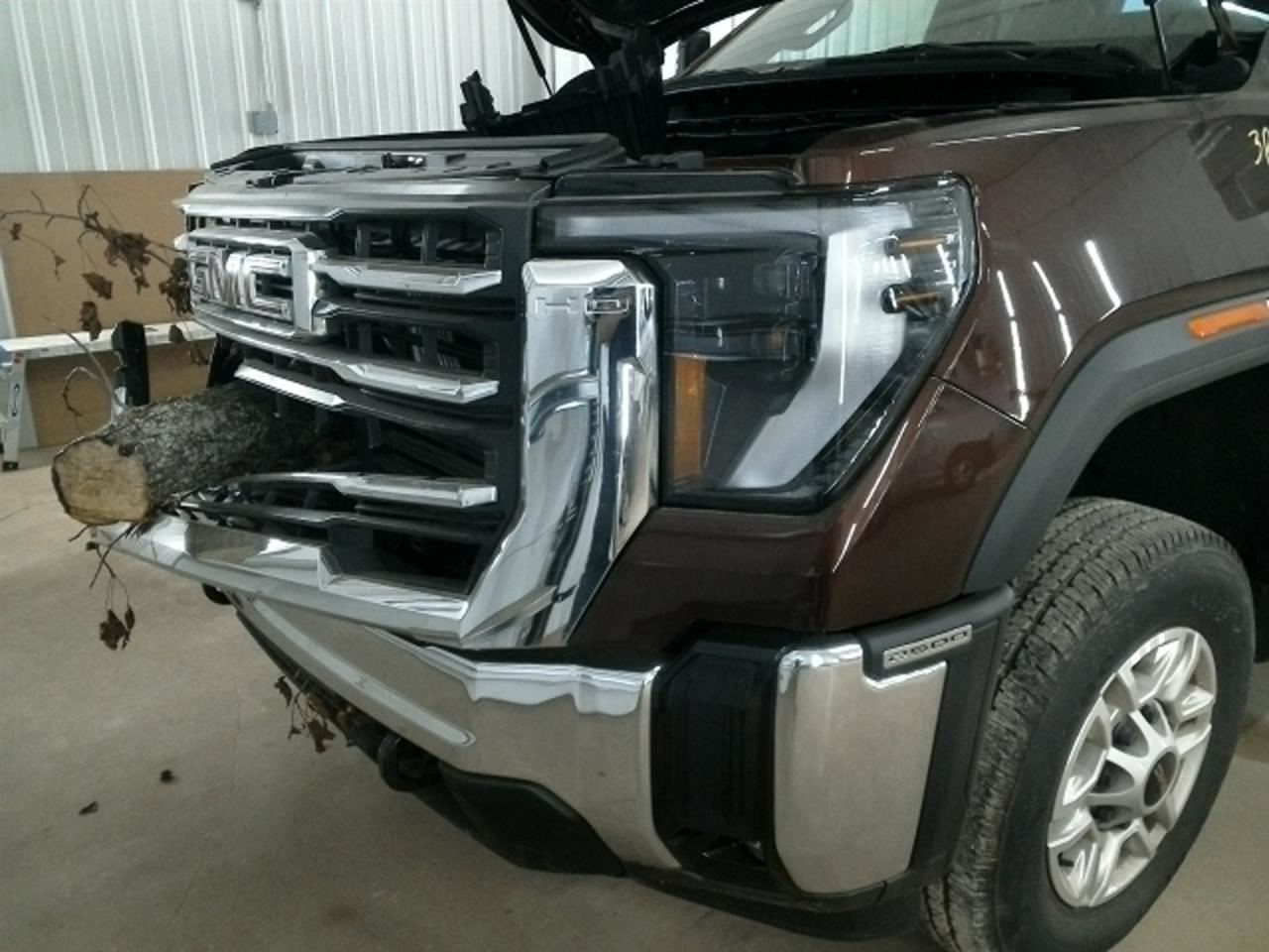 SIERRA250 2024 Horn 104903271