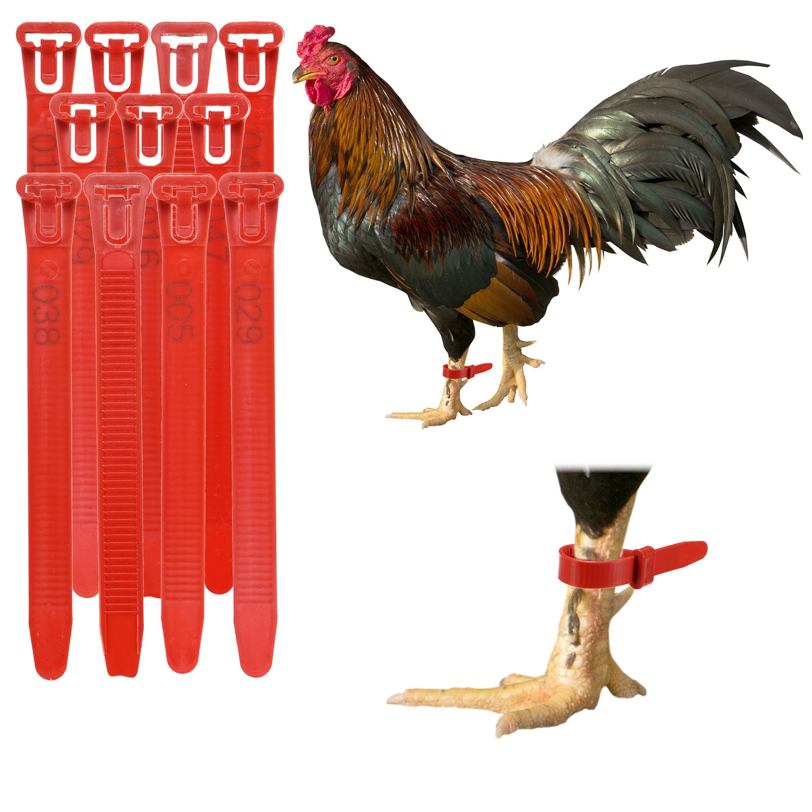 50-Pack Adjustable Chickens Leg Bands, 10-28 mm Plastic Leg Rings [Red]