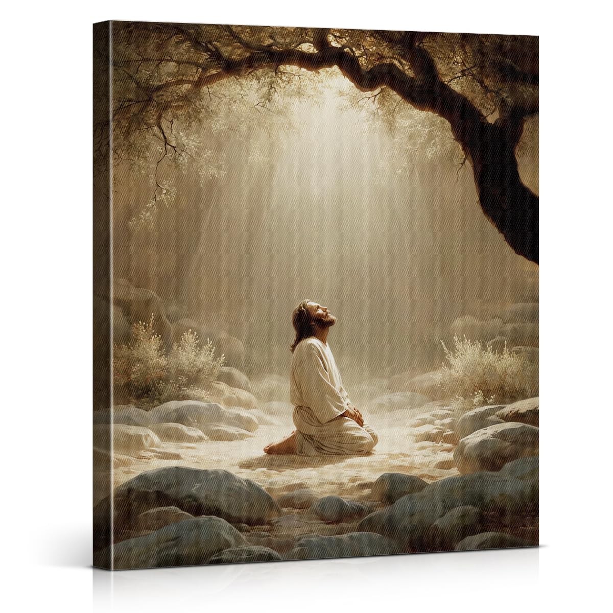 Christian Jesus Praying Wall Art DIY Paint By Numbers Kit Adults 10x8 Inch