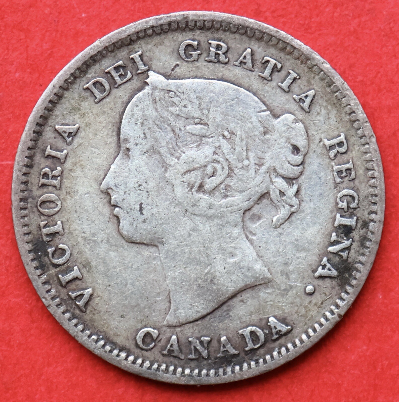 1886 Canada 5 Cents Small 6 - VF - Lot#11915