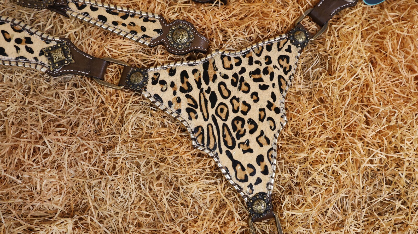 Headstall & Breast Collar Tack Set for Horse