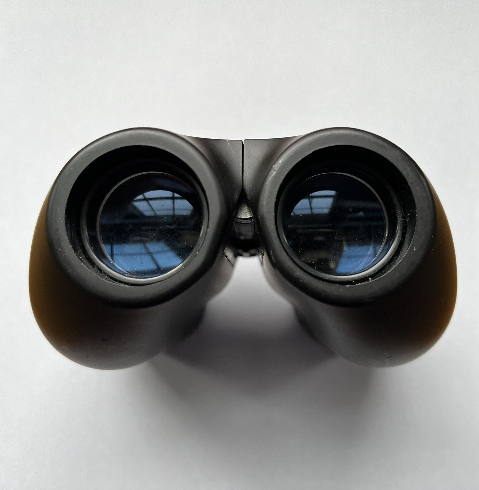 Celestron Focusview 8-17x25 Multi-purpose W/Zoom Magnification