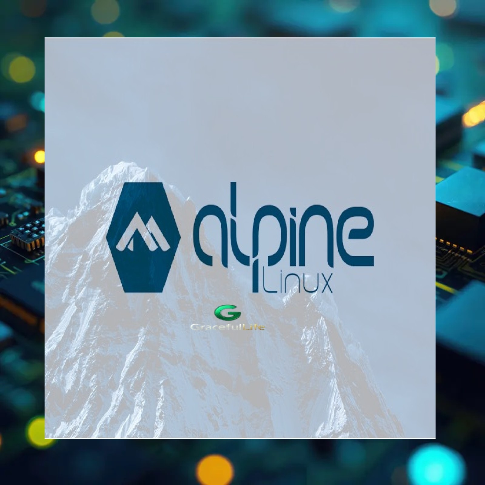 ALPINE Linux OS 64-Bit  Live Install Bootable Software ~ 2025 edition