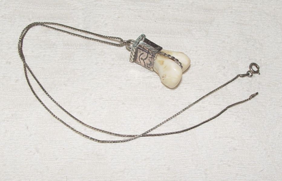 Elk tooth Sterling Necklace