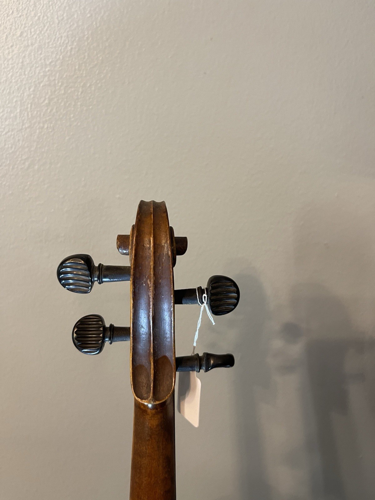 Maggini Violin 4/4 Project
