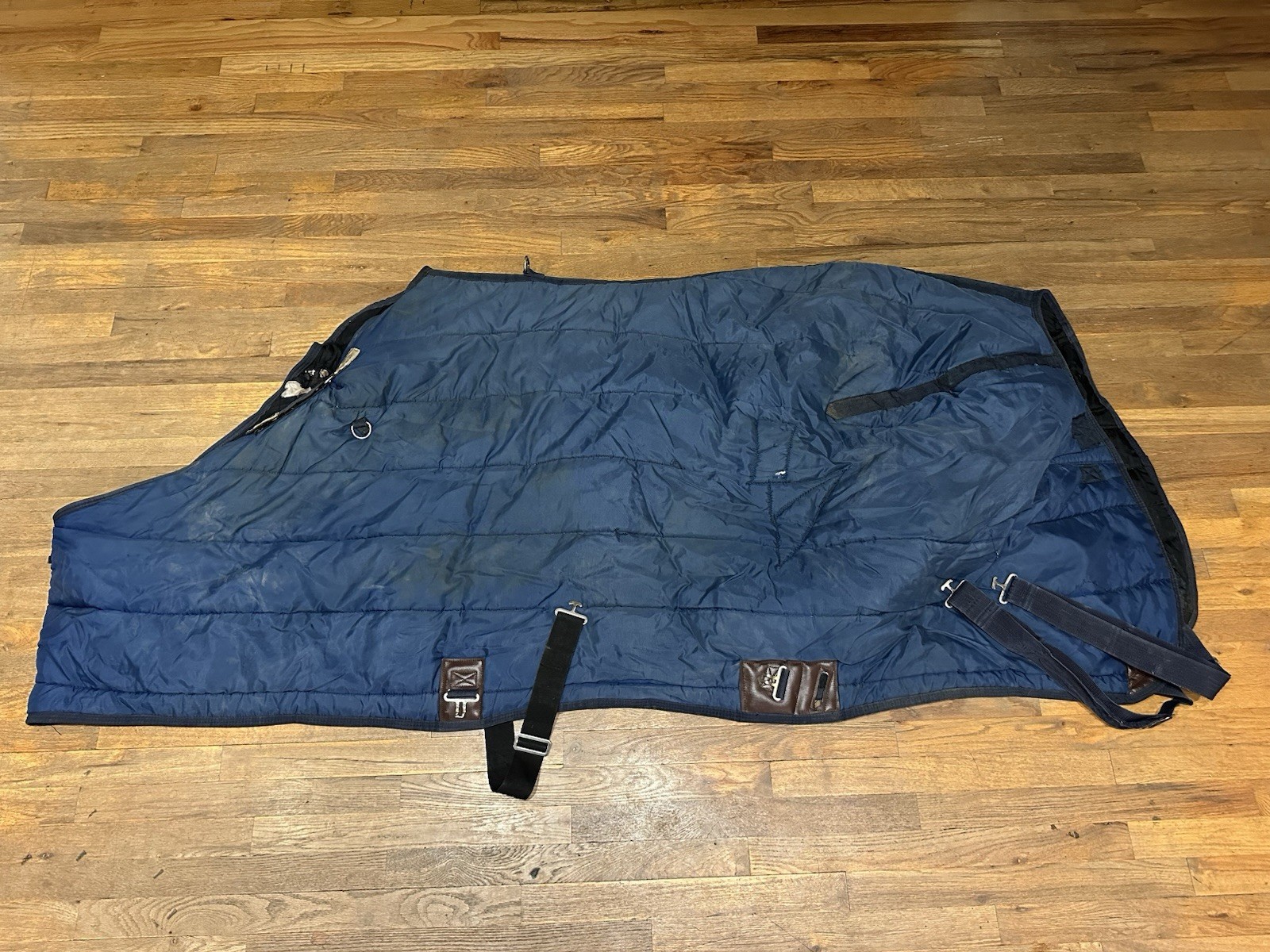 Horse Tack - 82” Schneiders Quilted Stable Blanket