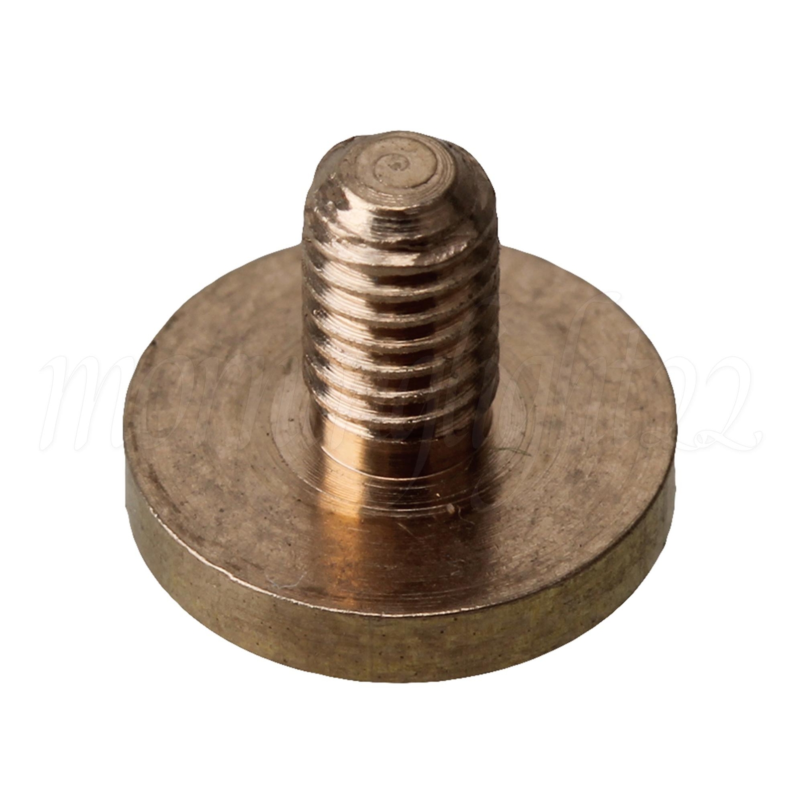 0.8x0.5x0.8cm Leather Scrapbooking Screws Brass Rivets Set of 30 Golden