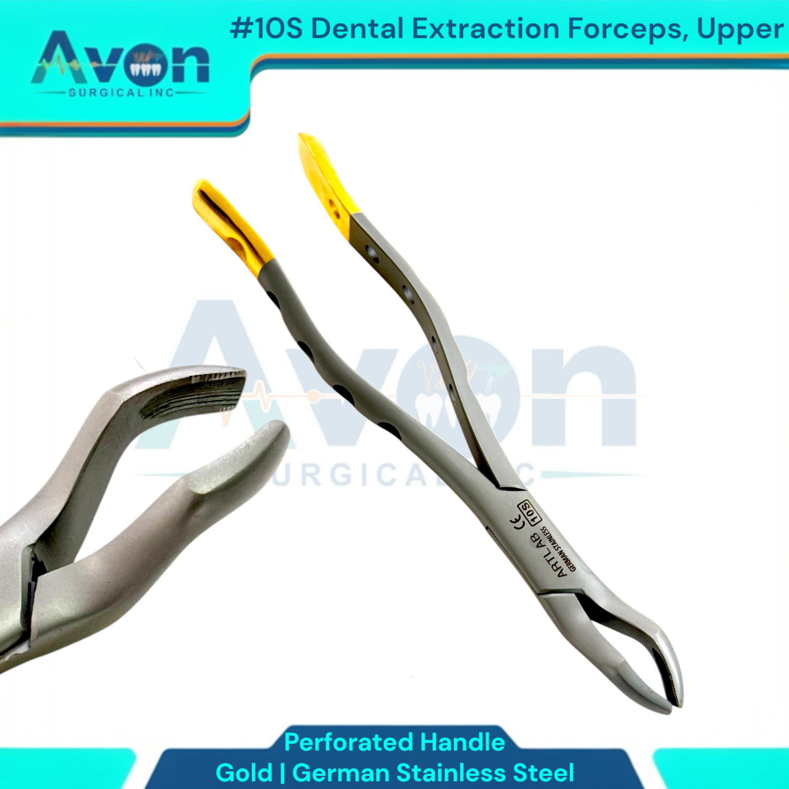 Upper Universal Tooth and Molars Extraction Forceps #10S, Serrated, Premium (1x)