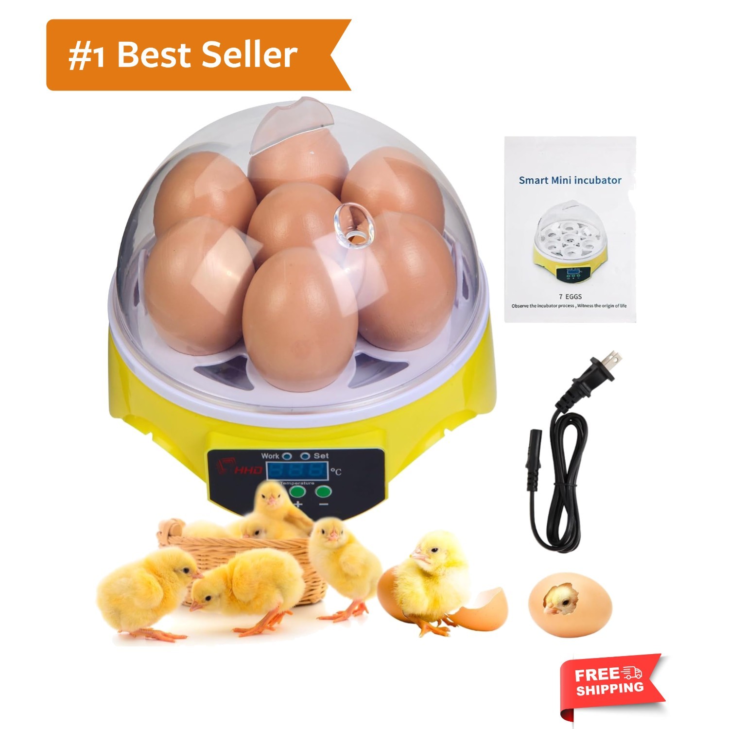 Compact 7-Egg Incubator for Kids with Temperature Control & Full Visibility