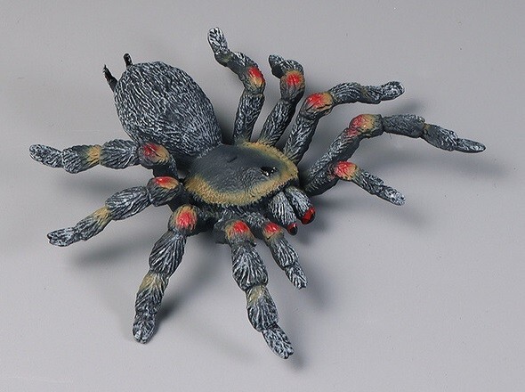 Tarantula Spider Insect Animal Toy PVC Action Figure Doll Kids Toys Party Gifts