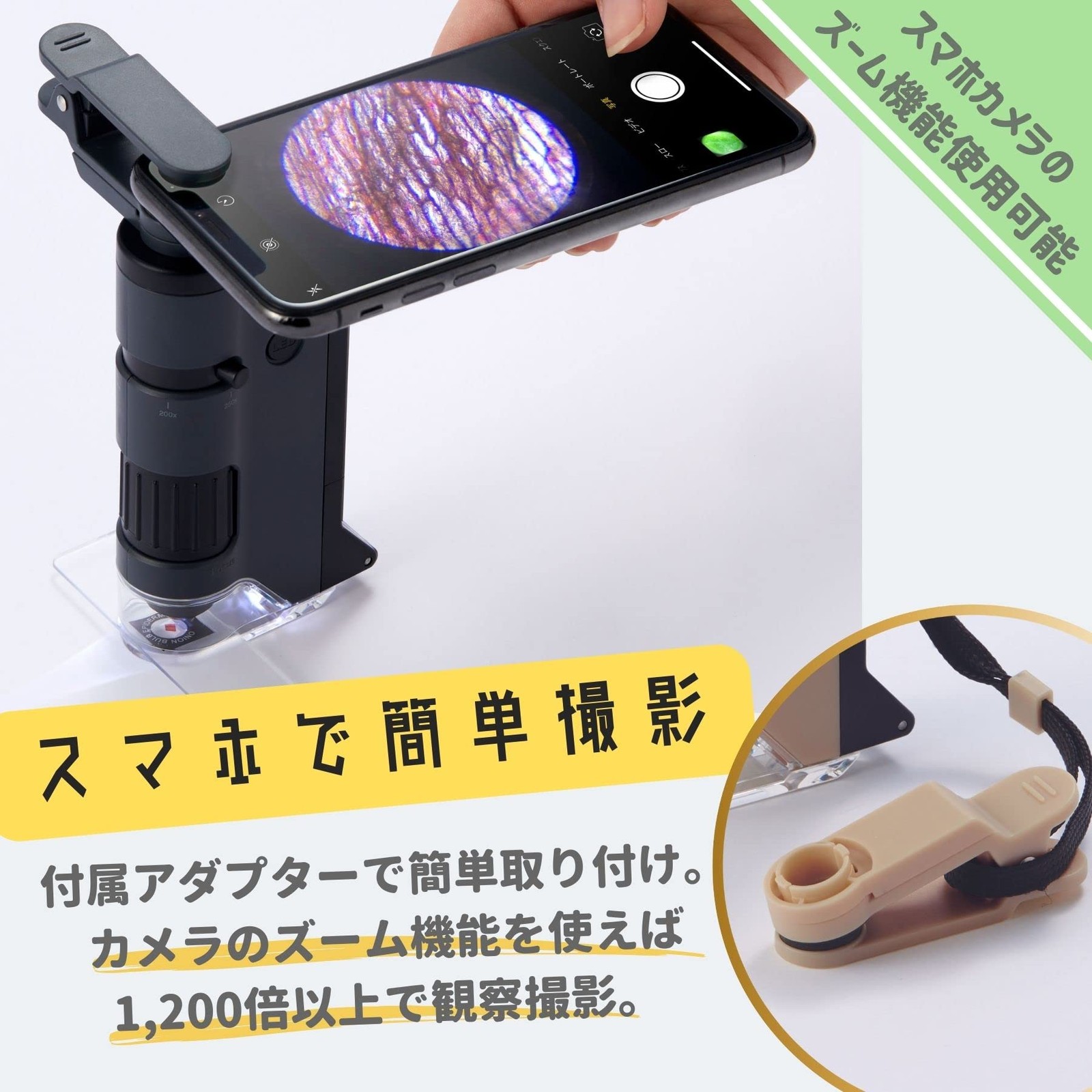 Raymay Fujii Handy Microscope DX Green RXT1144M