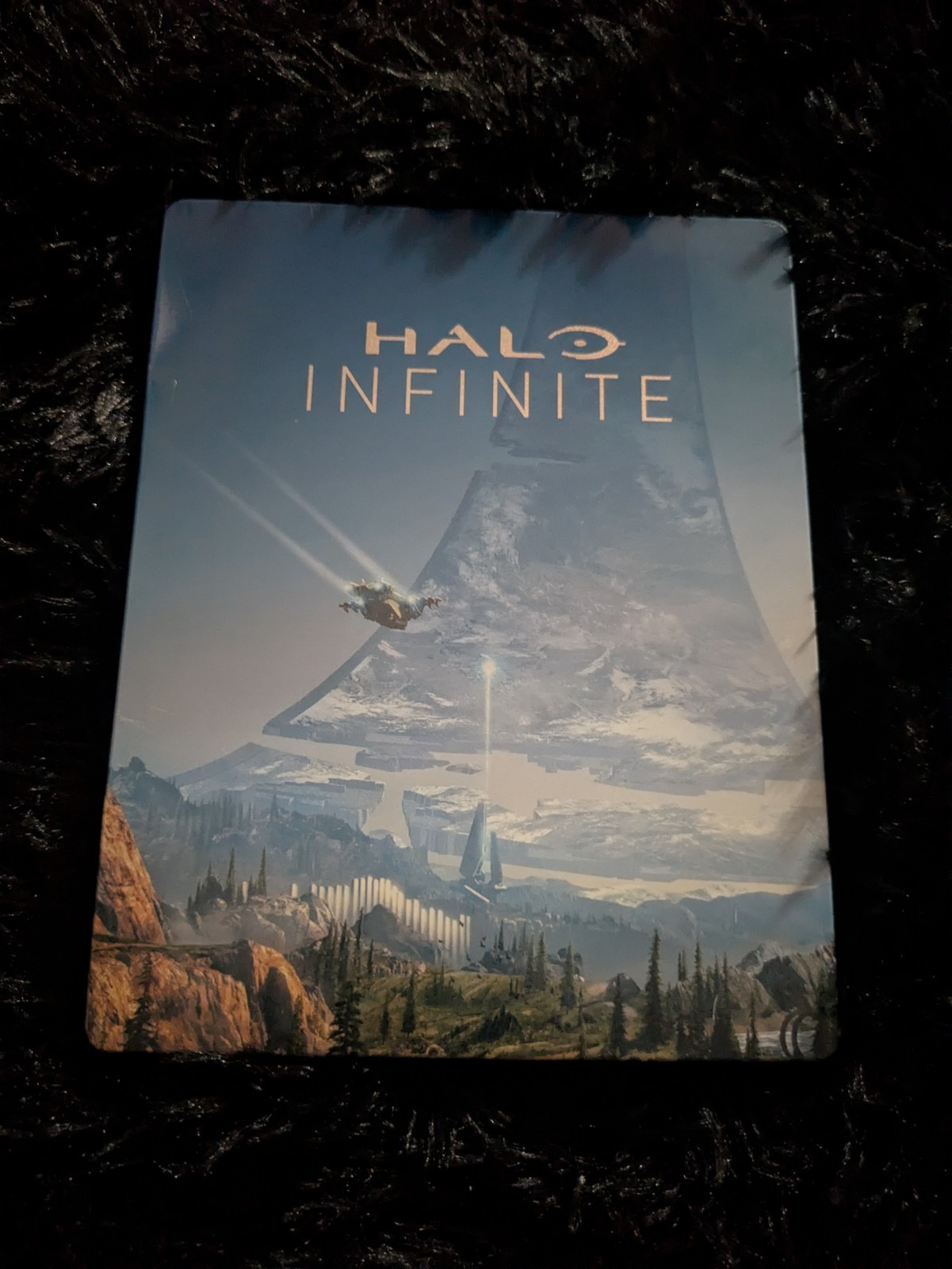 Halo Infinite Steelbook Case  NO GAME INCLUDED