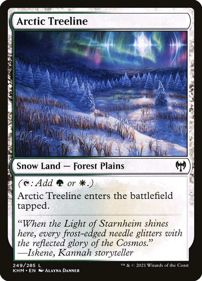 MTG Magic the Gathering Arctic Treeline (249/551) Kaldheim LP