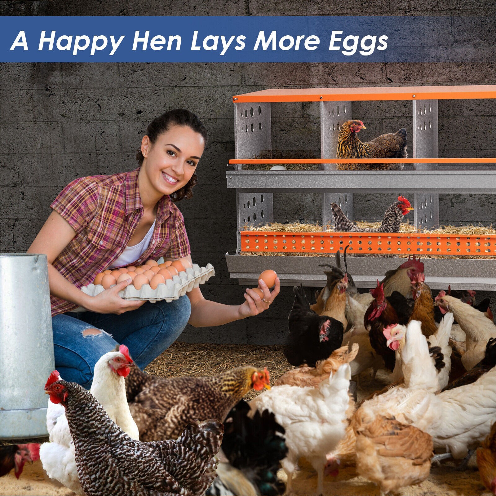 6 Hole Chicken Nesting Boxes Metal Egg Laying Brooding Box With Vent Hole Set