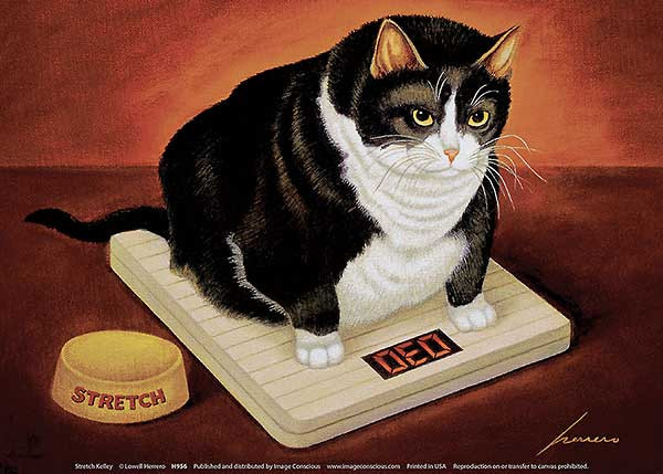 CAT ART PRINT - Stretch Kelley by Lowell Herrero 7x5 Kitty Cats Fat Scale Poster