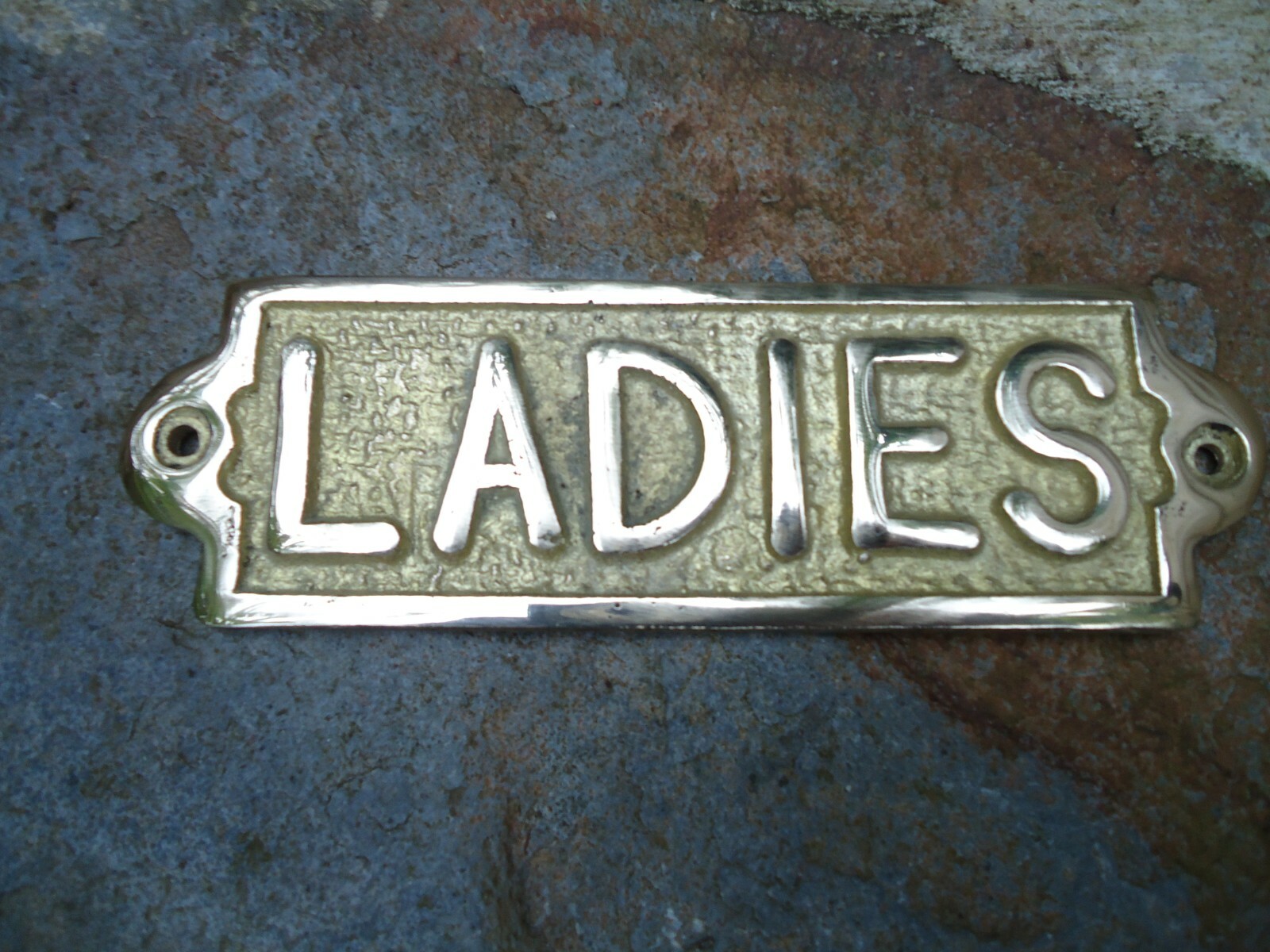 Brass Ladies Toilet Sign Hand Casted Door Plaque/ Drinks Bar / Pub Gents