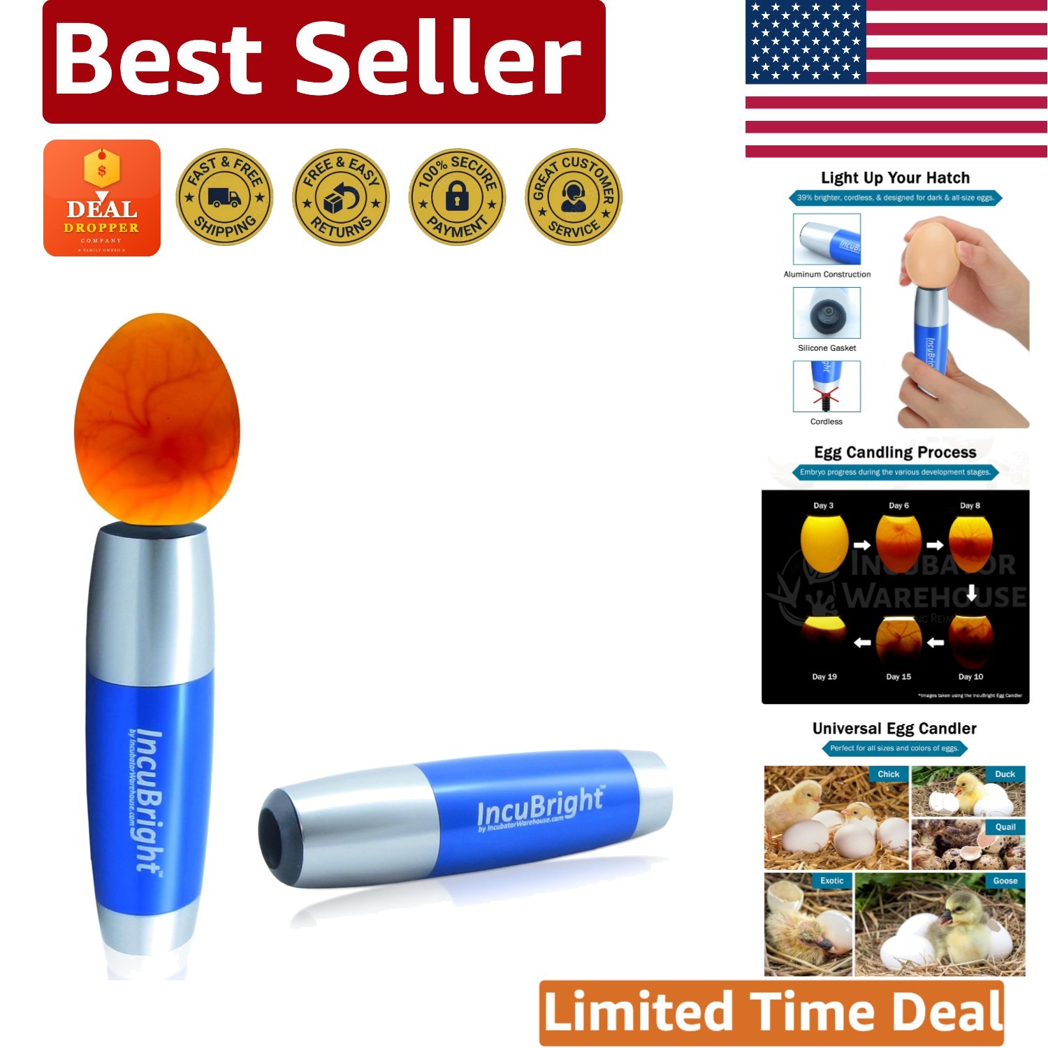 Ultimate LED Egg Candler - Safe, Cordless Light for All Egg Sizes - 250 Lumens