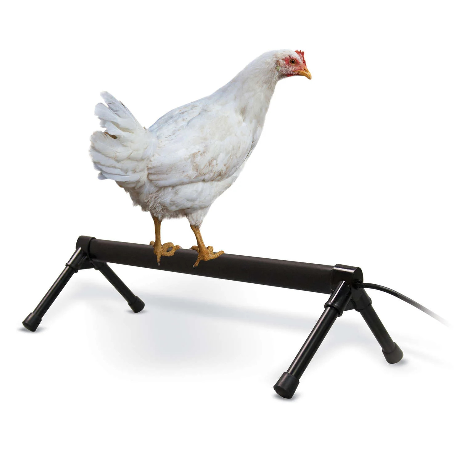 K&H Pet Products Heated Thermo-Chicken Perch - Gray, 26 Inch