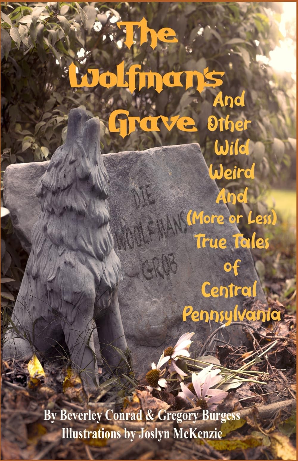 The Wolfman's Grave: And Other Wild Weird and True Tales of Central Pennsylvania