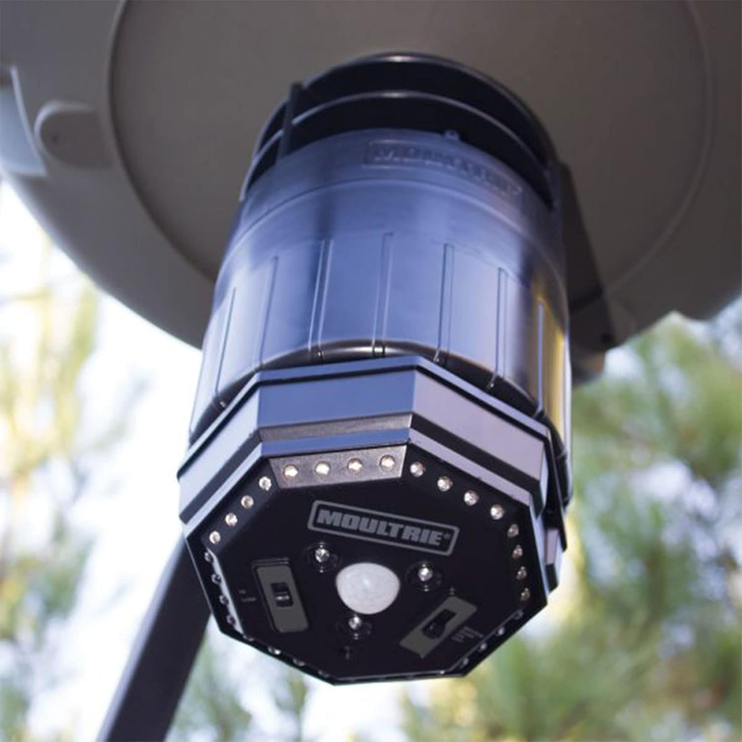 Battery Powered Feeder Hog Light - 30-ft Illumination with Adjustable Brightness