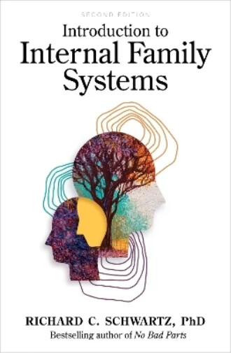 Richard C. Schwartz Introduction to Internal Family Systems Paperback Fast Shipp