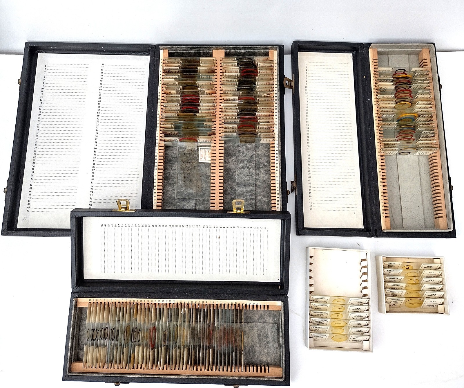 Microscope slides: petrology, histology, entomology etc