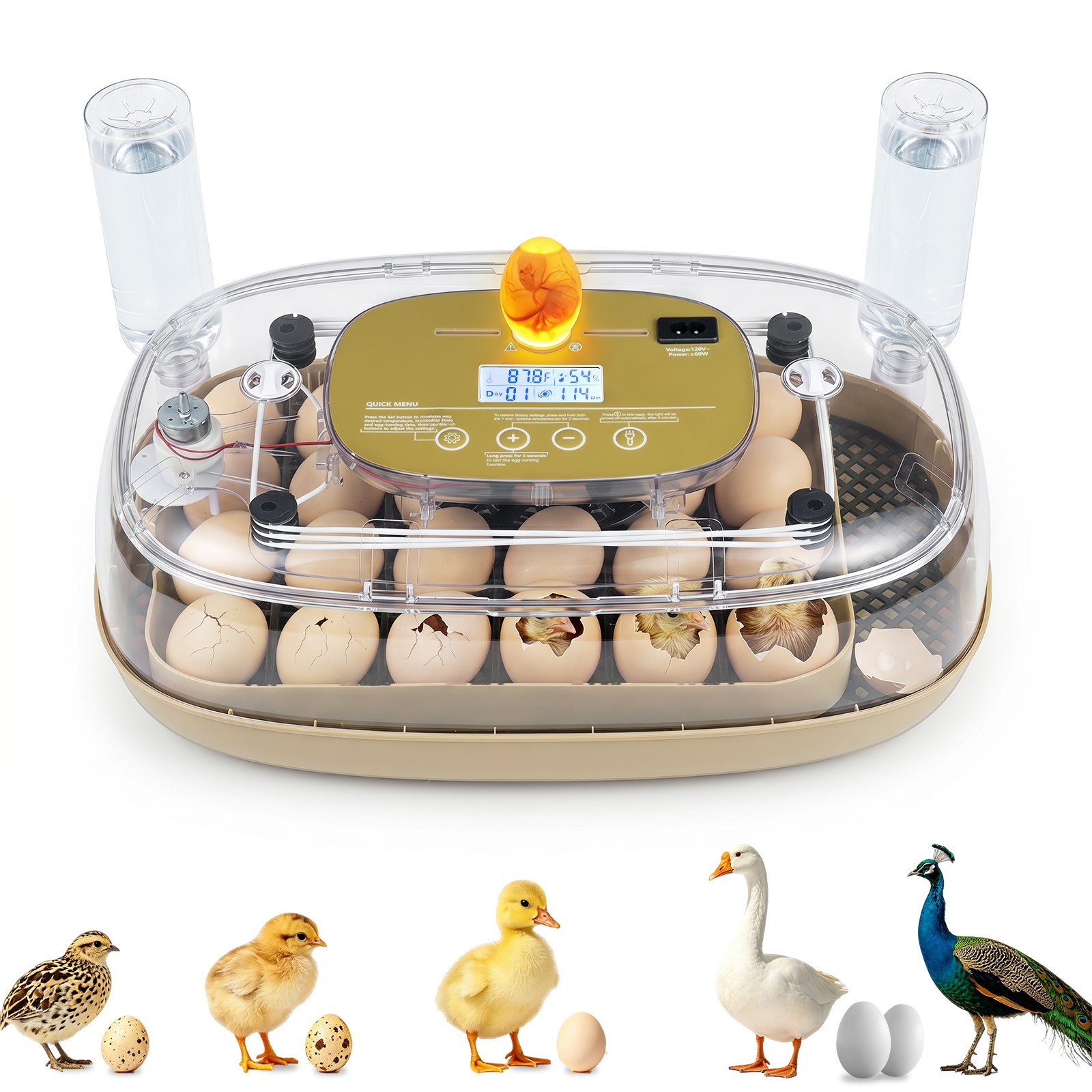 Incubator for Hatching Eggs, Automatic Egg Turner w/ Auto Water Refill, Air Vent