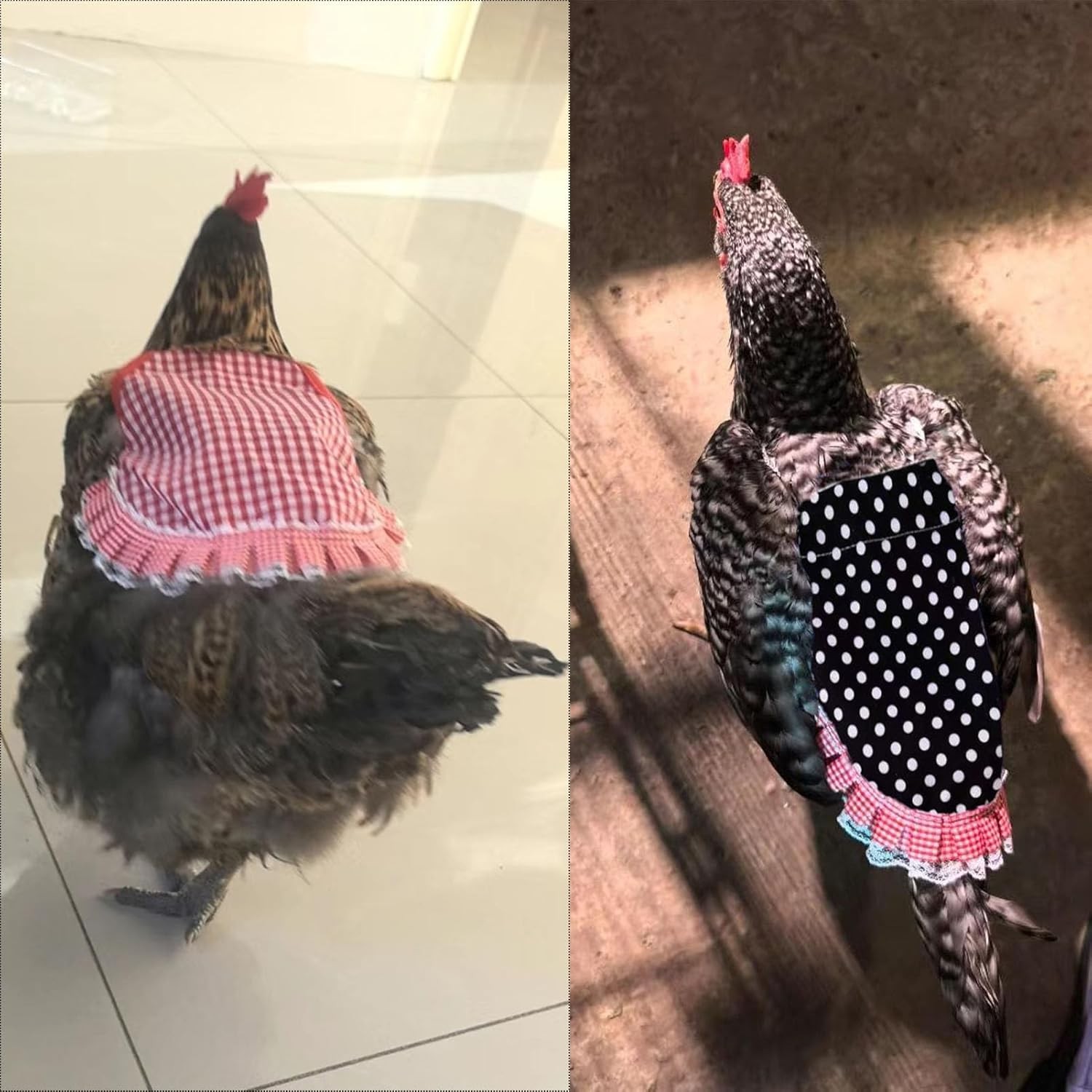 6Pcs Chicken Saddle for Hens Hen Chicken Wing Back Protector with Elastic Strap