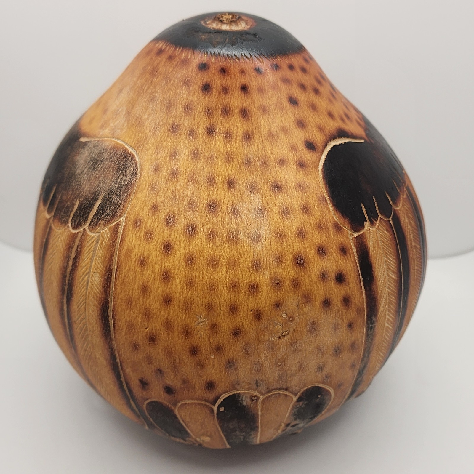 Peruvian Folkart Gourd Handmade Musical Shaker LG Bird Kingfisher 7.5IN W