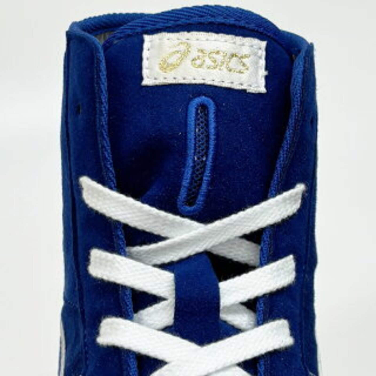 ASICS Wrestling Shoes 1083A001 EX-EO TWR900 Blue×Blue A524