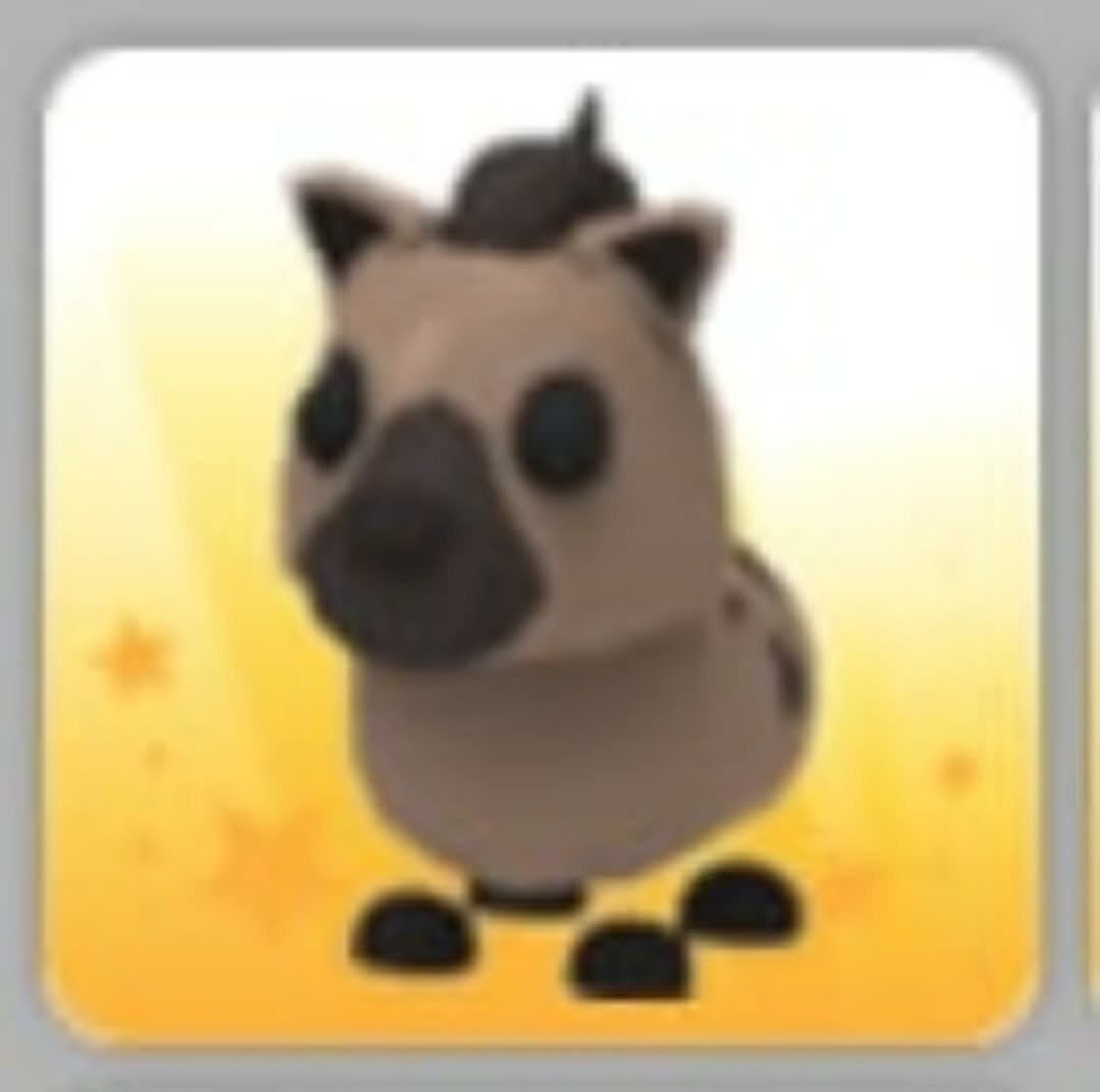 Hyena | NFR | Adopt Now