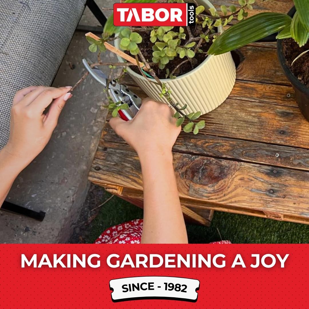 TABOR TOOLS S834A Bypass Pruning Shears, Makes Clean Cuts, Silver