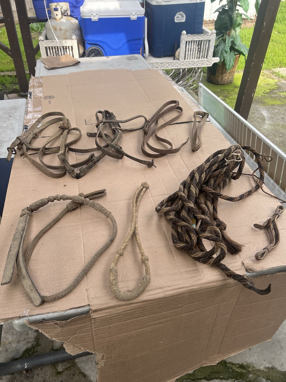 Vintage Horse Hair Rope Reins & More