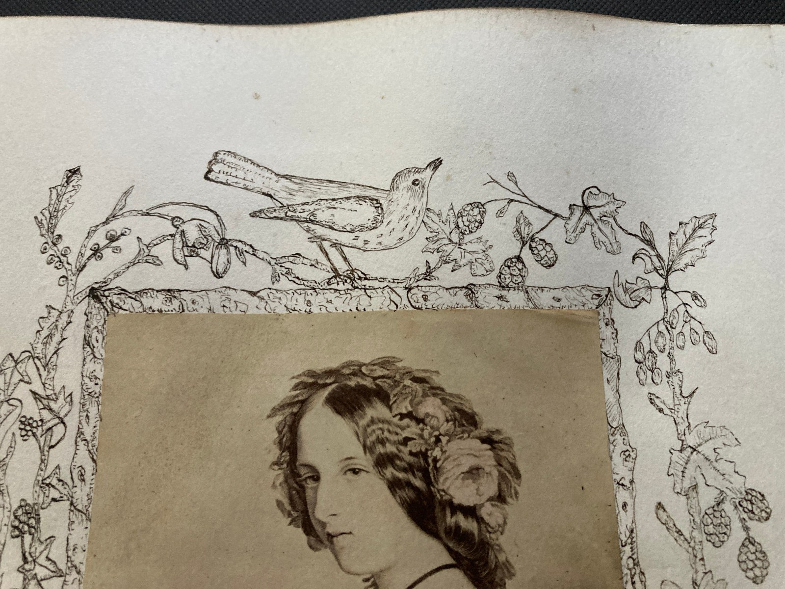 Victorian pen and ink border work around albumen art prints birds Landseer