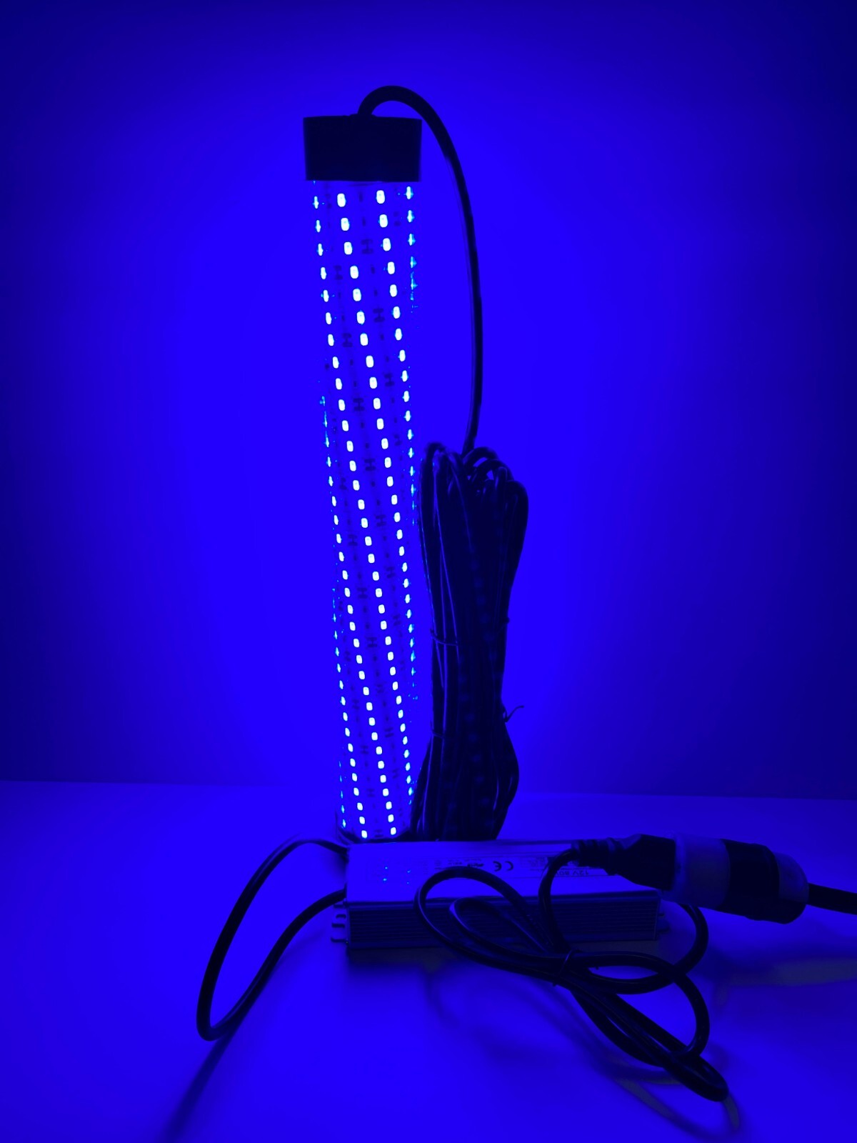 Bright Night Fishing Underwater Fishing Light 15,000 LUMENS 300 BLUE LEDs Dock