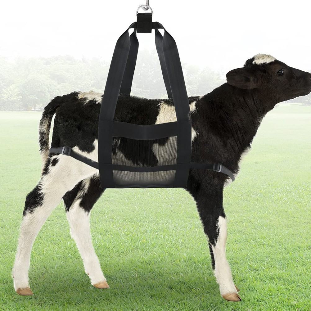 Black Nylon Pet Weigh Sling Mesh Weigh Hammock for Small Animal Weighing
