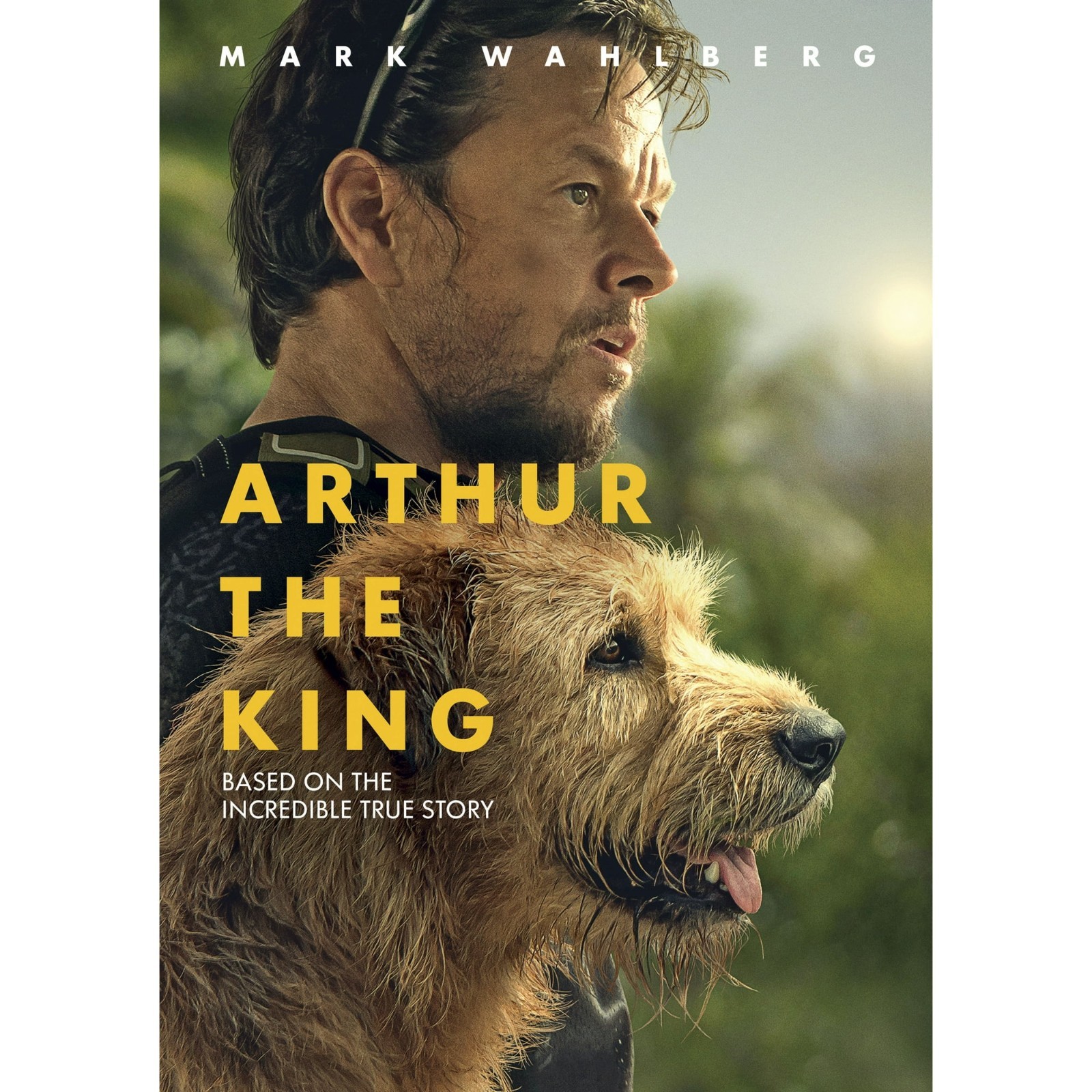 Arthur The King (DVD)