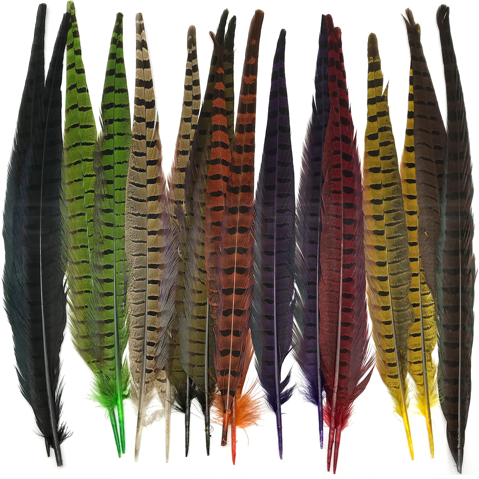 RINGNECK PHEASANT TAIL PAIR - Fly Tying Natural & Dyed Long Feathers by Hareline