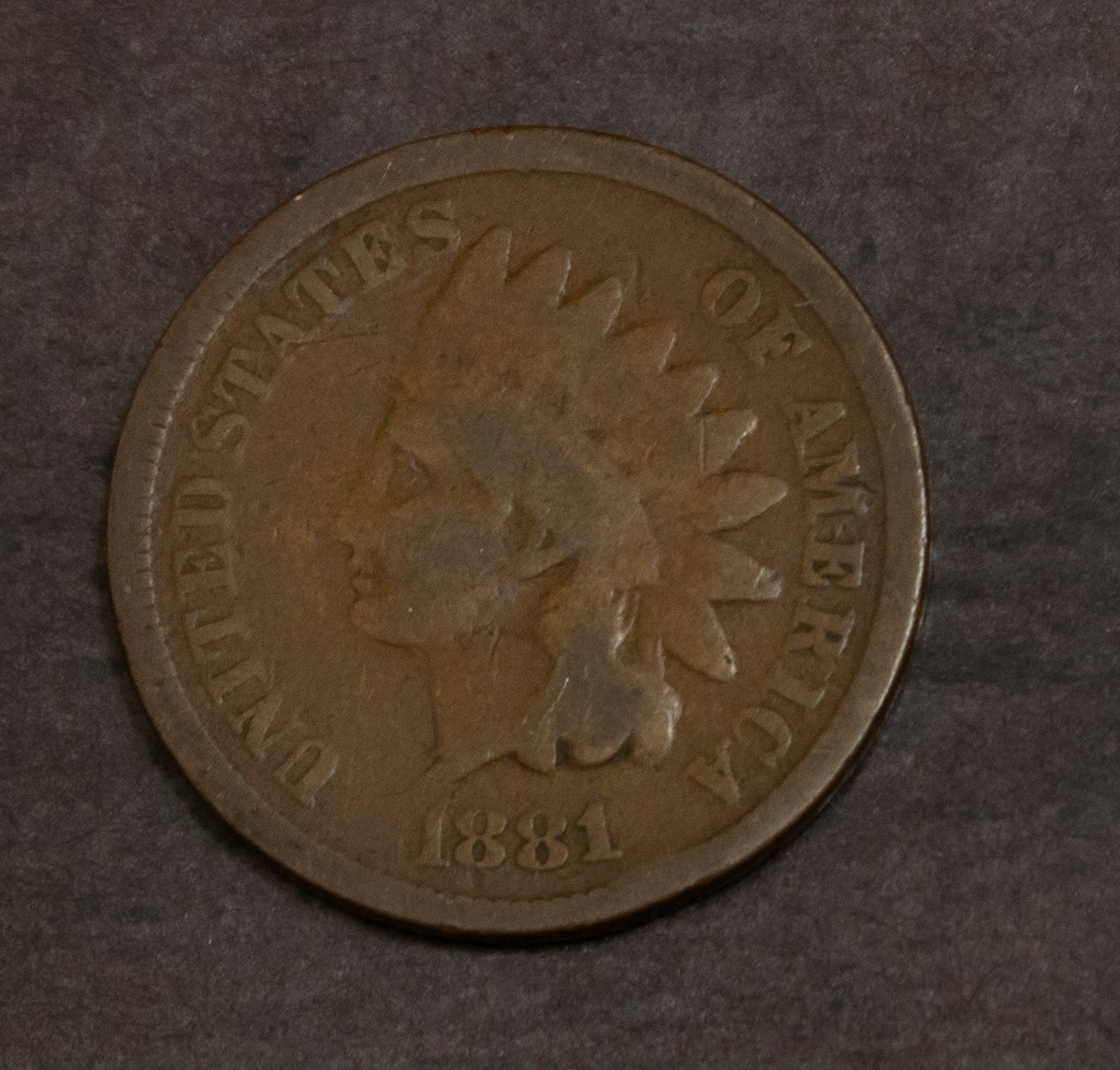 1881 Indian Cent Nice   Lot Y3513