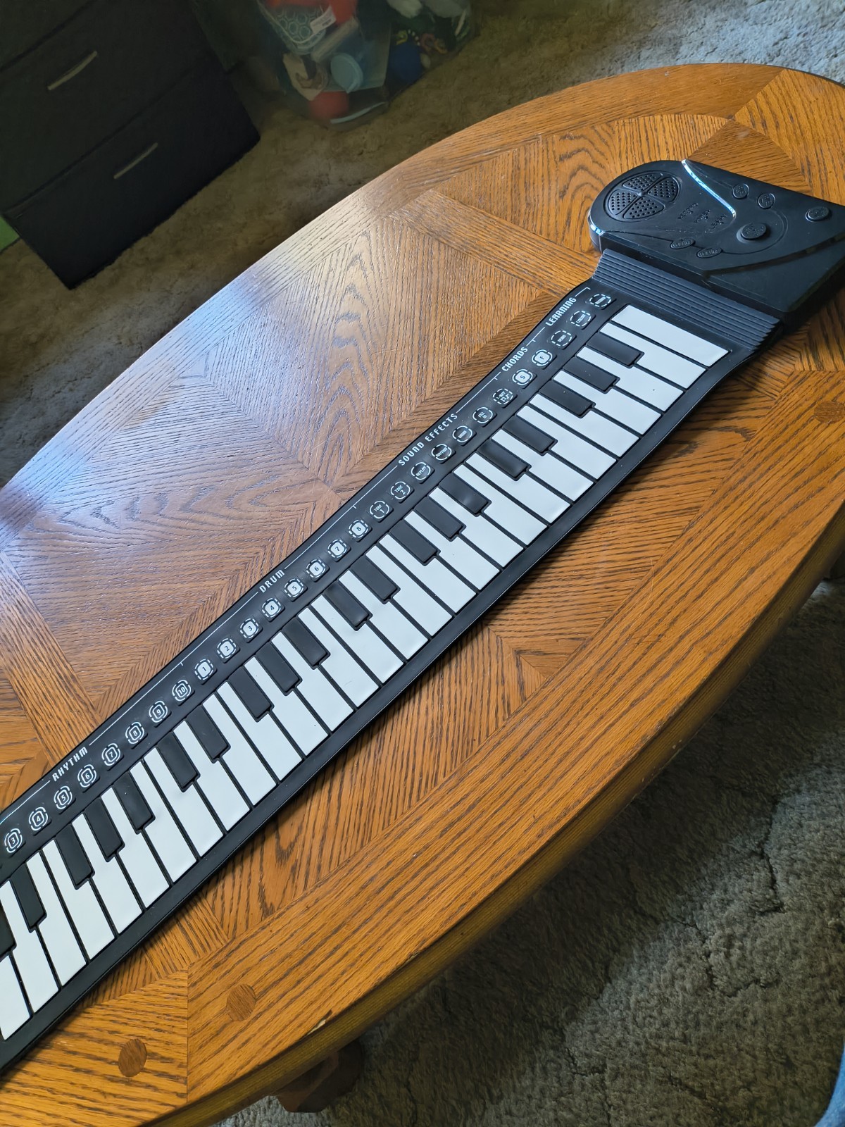 49 Key Roll Up Piano Keyboard Flexible Electronic Portable w Speaker