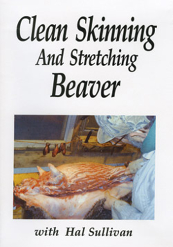 Clean Skinning and Stretching Beaver by Hal Sullivan (DVD)