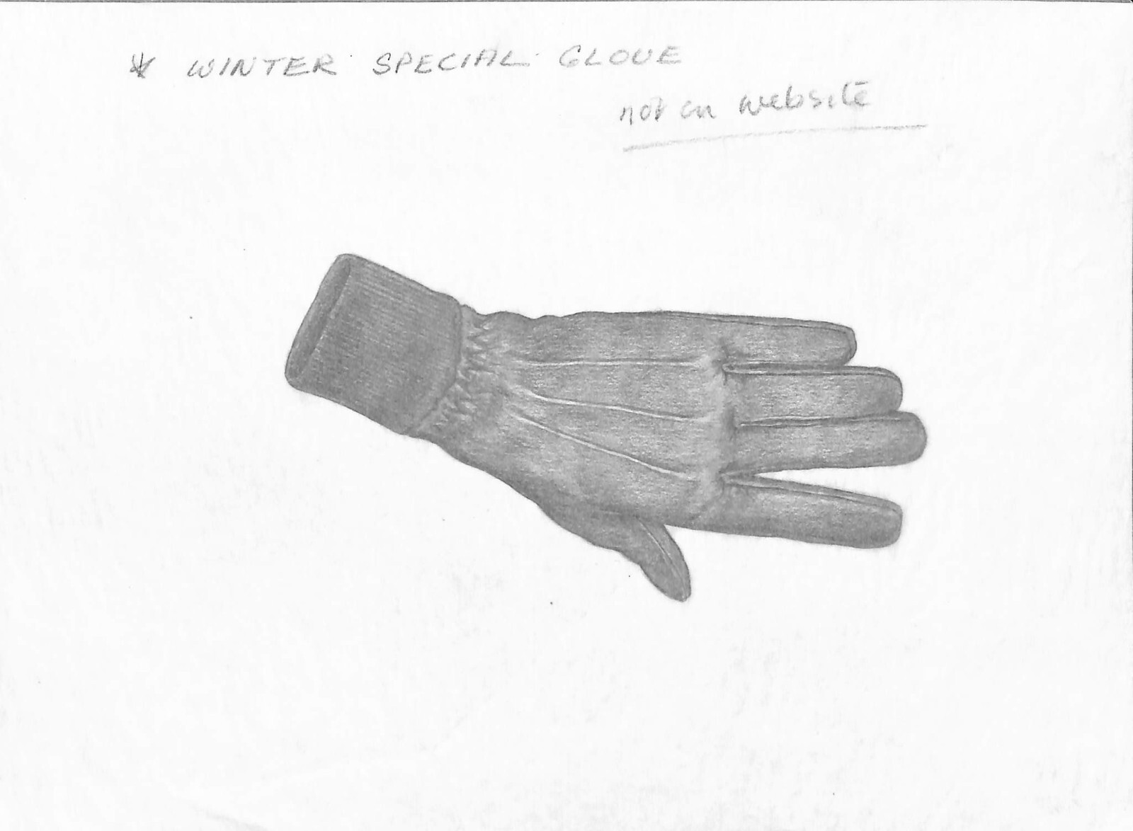 Winter Special Glove Graphite Drawing