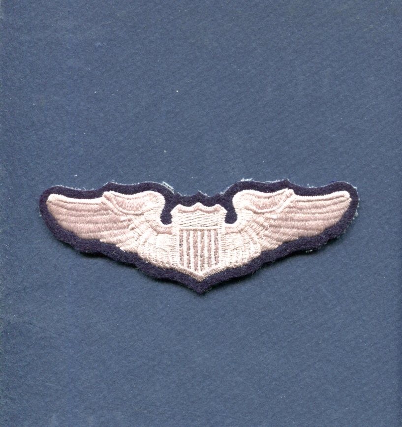 USAF US Air Force Pilot Wing Hat Jacket Squadron Patch