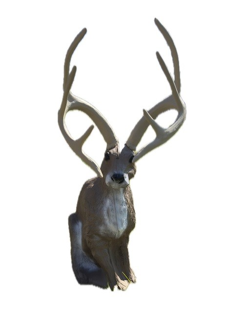Delta Mckenzie/Mikes Archery Special Jackalope