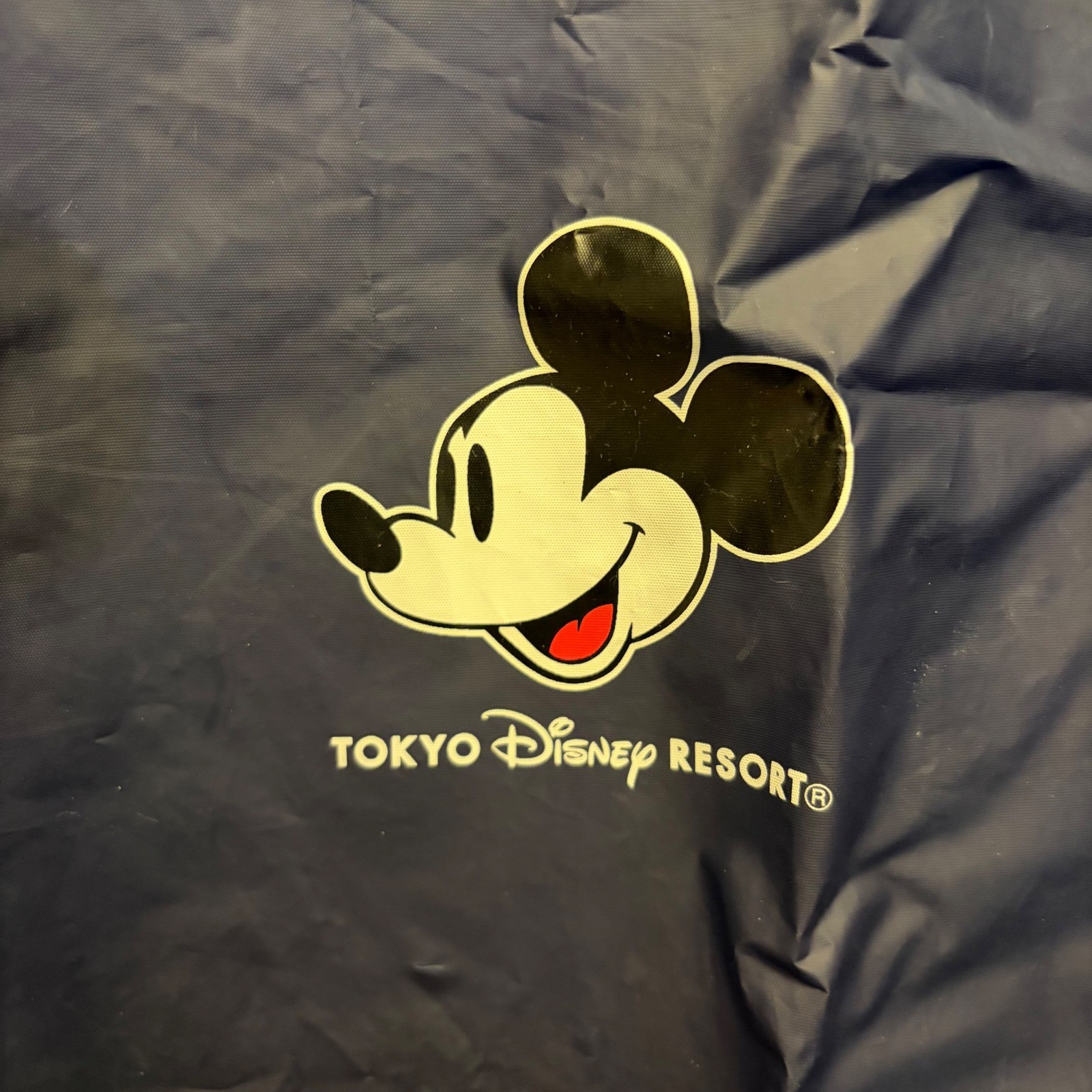 Tokyo Disney Resort Mickey Mouse Foldable Rain Poncho Bag