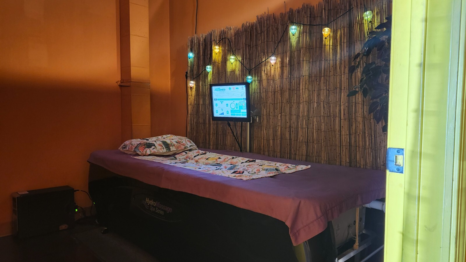Hydro Massage bed (water pressure) - GREAT FOR SPA - great condition