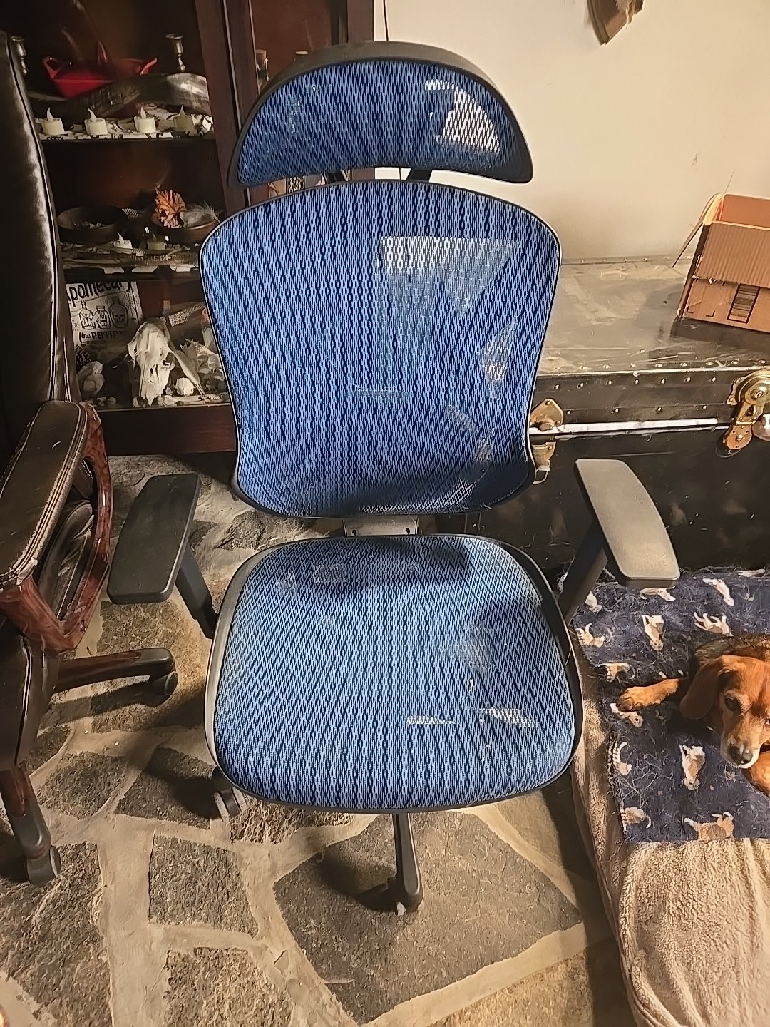 Blue Chair Squishy Back And Seat