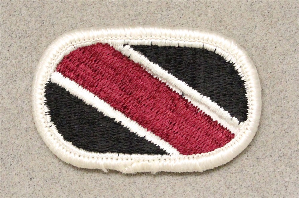 Airborne Oval Patch 991: AHS, Co. F, 3rd Bn, Academy Brigade - merrowed edge